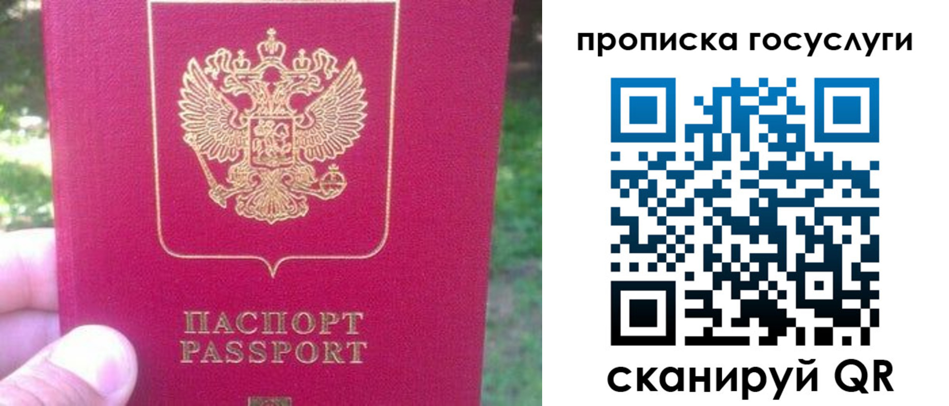 временная регистрация собственник в Шилке